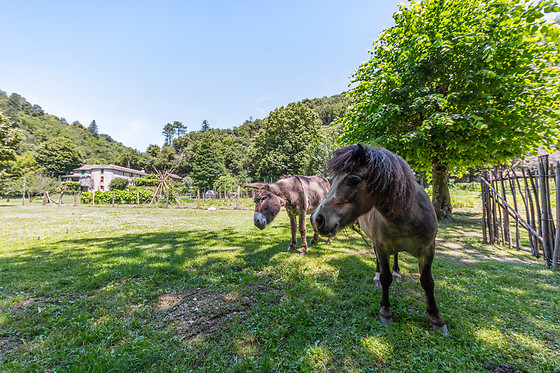 Ferme de Lancizolle - photo 1