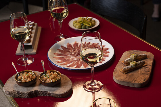 Un espectáculo flamenco con tapeo para 2 en Flamenco de Leones en Madrid