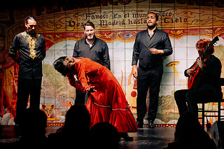 Un espectáculo flamenco con tapeo para 2 en Flamenco de Leones en Madrid
