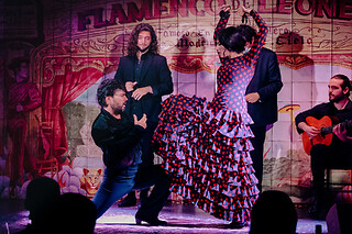 Un espectáculo flamenco con tapeo para 2 en Flamenco de Leones en Madrid