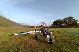 BIZIFLY