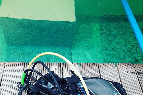 Diving Force - photo 0