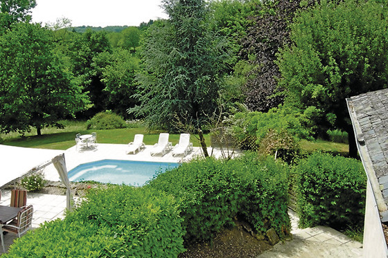 Serendipity - photo 1