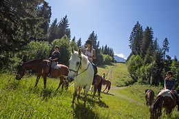 Zucht- und Reitstall Gentinetta