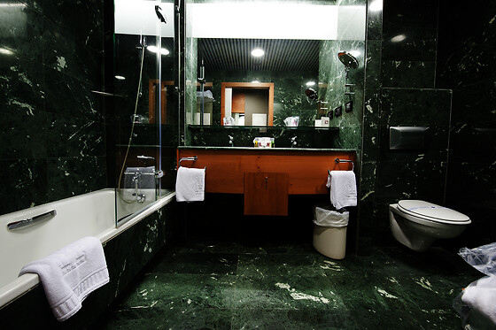 GRAN HOTEL LAKUA - photo 5
