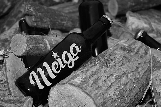 CERVEXA MEIGA - photo 5