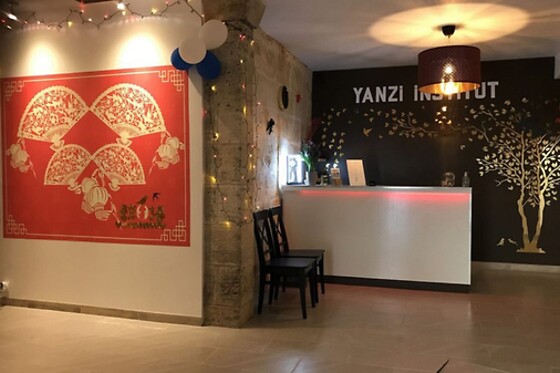 Yanzi institut Tuina an Mo - photo 2