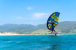 WINGS TARIFA