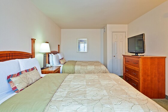 Online Booking EPS - photo 6