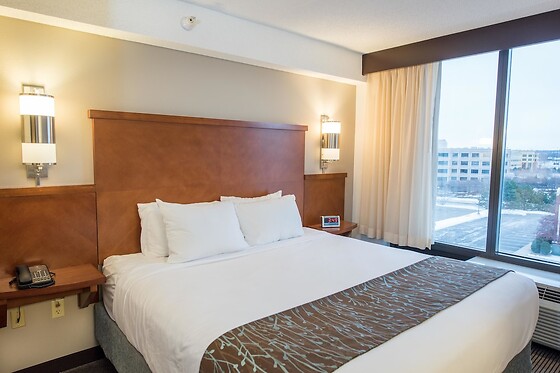 Online Booking EPS - photo 3