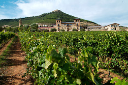 BODEGAS CASTILLO DE MONJARDIN