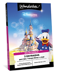Disneyland París en Familia 1 día / 1 parque