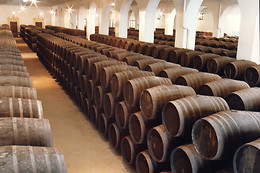 BODEGAS PEREZ BARQUERO