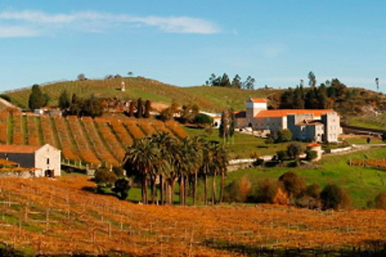 PAZO BAIÓN - photo 6
