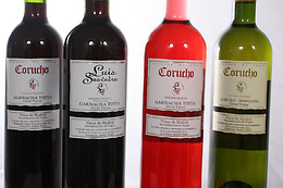 BODEGA ECOLOGICA LUIS SAAVEDRA