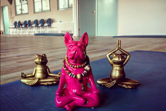 YOGA8sam - photo 5