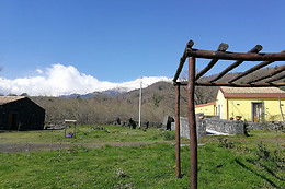 Agriturismo Viola Nel Parco