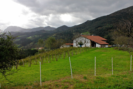 AGROTURISMO ERLETE GOIKOA - photo 1