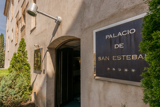 HOSPES PALACIO DE SAN ESTEBAN - photo 9