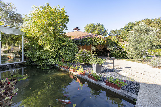 Les jardins du lac - photo 5