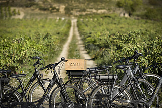 Una visita a viñedo en ebike y cata de vinos en bodega para 2 en Bodegas Izadi en Villabuena de Álava (Álava)