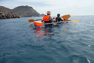 Una ruta en kayak para 1 en Clear Kayak en Nijar (Almería)