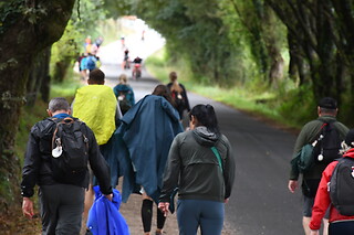 Dos noches en albergue con transporte de mochilas, free tour, dossier y vieiras peregrinas para 2 en Camino Compostela en Santiago de Compostela