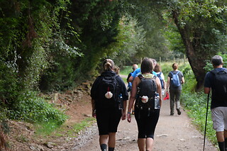 Dos noches en albergue con transporte de mochilas, free tour, dossier y vieiras peregrinas para 2 en Camino Compostela en Santiago de Compostela
