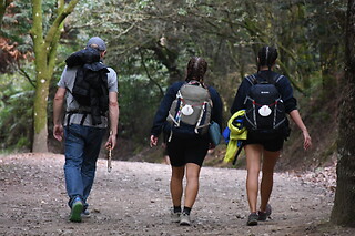 Dos noches en albergue con transporte de mochilas, free tour, dossier y vieiras peregrinas para 2 en Camino Compostela en Santiago de Compostela