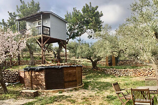Dos noches en Casa árbol observatorio para 2 en Ecoturismo Villafeliche en Camarles (Tarragona)
