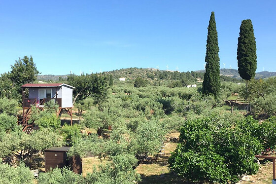 Dos noches en Casa árbol observatorio para 2 en Ecoturismo Villafeliche en Camarles (Tarragona)