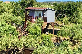Dos noches en Casa árbol observatorio para 2 en Ecoturismo Villafeliche en Camarles (Tarragona)