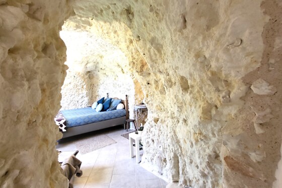 Les Caves du Coteau - photo 11