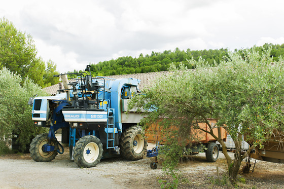 La maison des Causses - photo 10