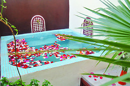 Samira Riads