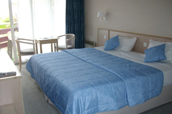 Hotel The Originals Thonon-les-Bains L'Arc-En-Ciel - photo 7