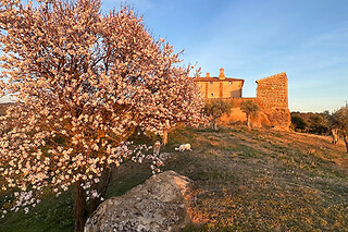 Una noche con desayuno para 2 en Castillo de Corvinos en Albero Alto (Huesca)