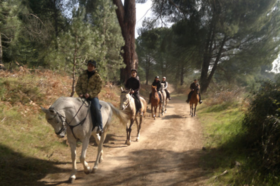 Ruta a caballo con monitor en Cadalso de los Vidrios (Madrid)