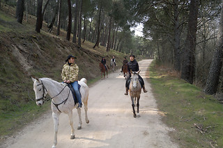 Ruta a caballo con monitor en Cadalso de los Vidrios (Madrid)