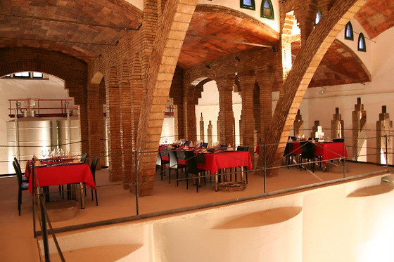 CELLER COOPERATIU GANDESA - photo 7