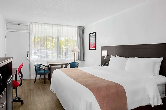 Online Booking EPS - photo 9