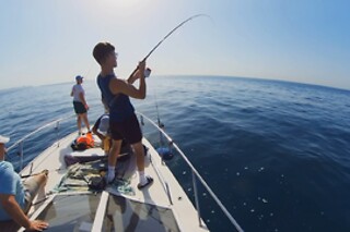 Una experiencia de avistamiento de delfines para 2 en Eventos Náuticos Fuengirola en Fuengirola (Málaga)