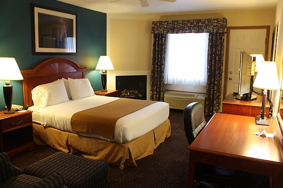 Online Booking EPS - photo 5