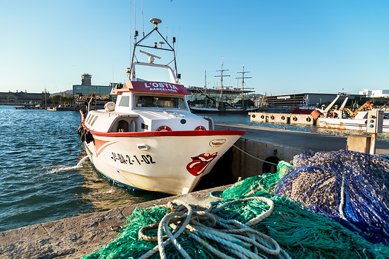 CAP A MAR - photo 4