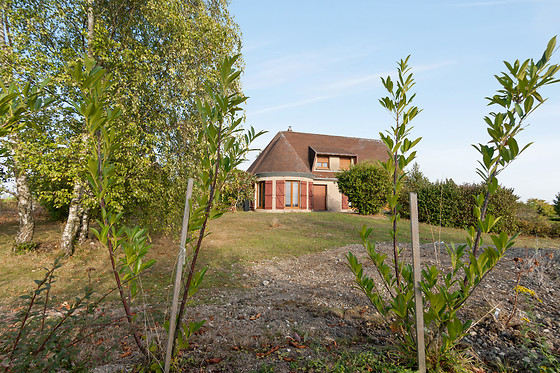 Le Petit Flo - photo 8