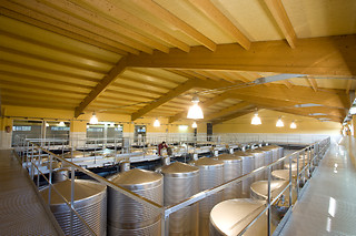 Una visita guiada con degustación para 2 en Bodegas Martín Códax en Vilariño (Pontevedra)