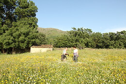 CASA PALACIO CARVAJAL