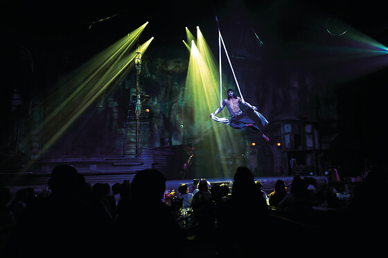 Una entrada sector VIP para 1 en Show Pirates Reloaded en Magaluf (Islas Baleares)