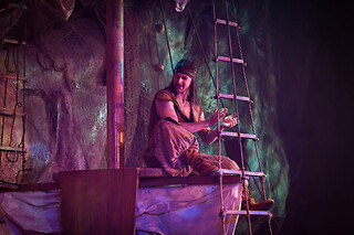 Una entrada sector VIP para 1 en Show Pirates Reloaded en Magaluf (Islas Baleares)