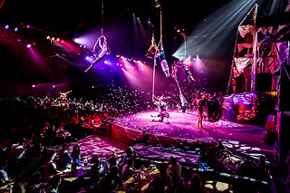 Una entrada sector VIP captains table en Show Pirates Adventure en Magaluf (Islas Baleares)